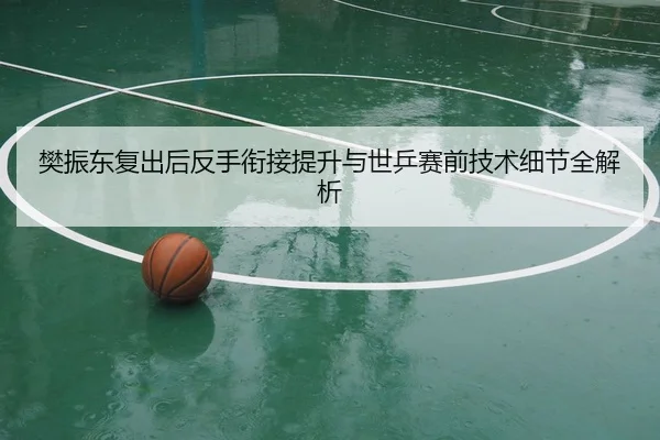 樊振东复出后反手衔接提升与世乒赛前技术细节全解析